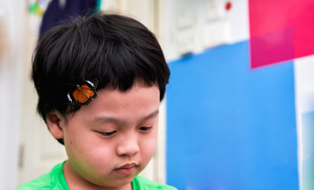 一只蝴蝶栖息在男孩的头上。图片下载