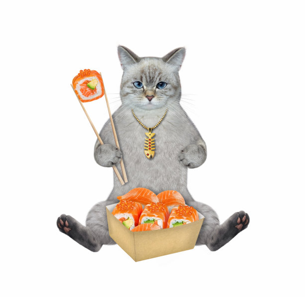 猫灰坐着吃寿司图片下载