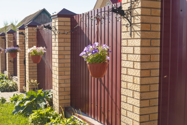 高高的铁栅栏旁边的花盆里种着紫色的牵牛花图片下载