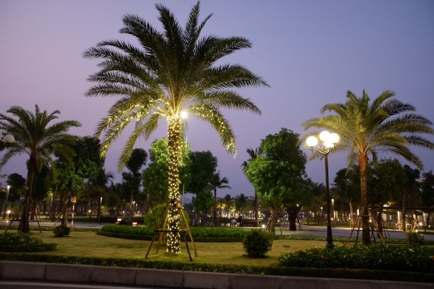 越南的现代公园(Vinhomes Starcity Thanh Hoa)。晚上视图。图片下载