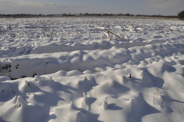 布列塔尼的雪地图片下载