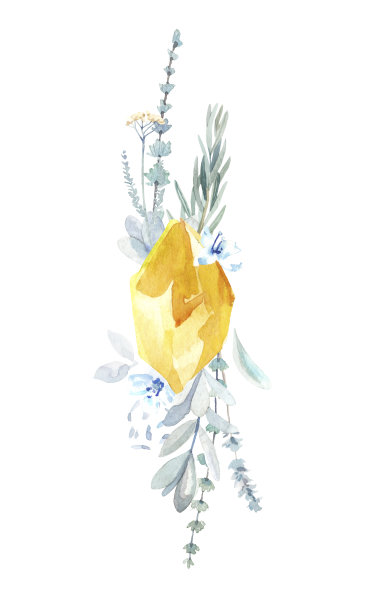 水彩手绘花卉和水晶石安排插图孤立在白色背景图片下载