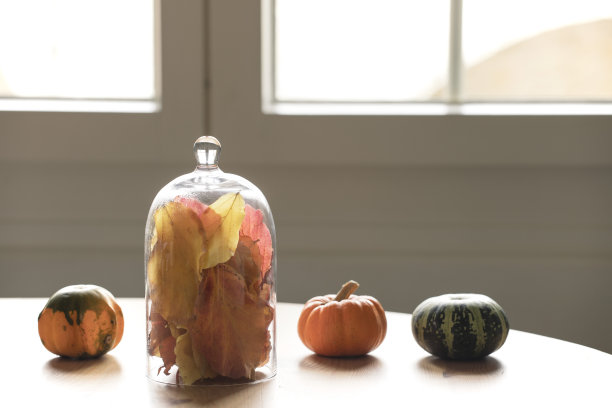 木桌上的秋季摆设。静物，季节的秋天装饰。家居装饰，风格简单，窗户有背光。图片下载