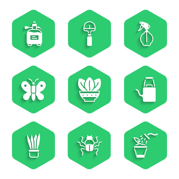 在盆栽甲虫甲虫喷洒植物图片下载