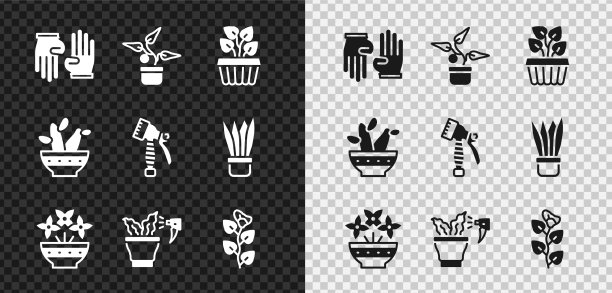 在花盆内设置橡胶手套种植常青藤图片下载