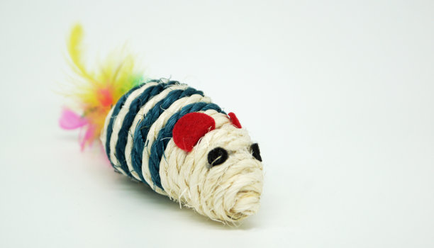 有趣的小老鼠给猫玩图片下载