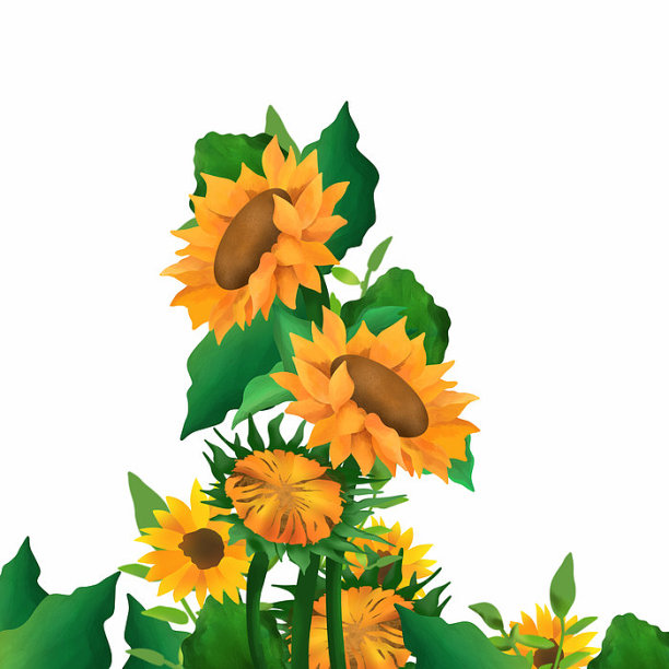 原创元素一排向日葵插画元素图片下载