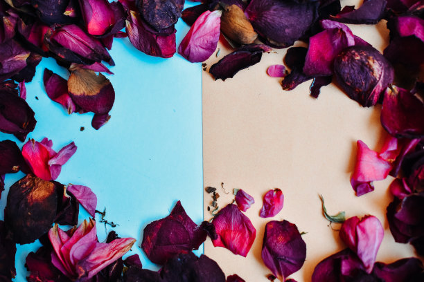 干玫瑰花瓣围成一圈。中心的空闲空间为您的照片或文本。隔离在不同颜色的背景上。图片下载
