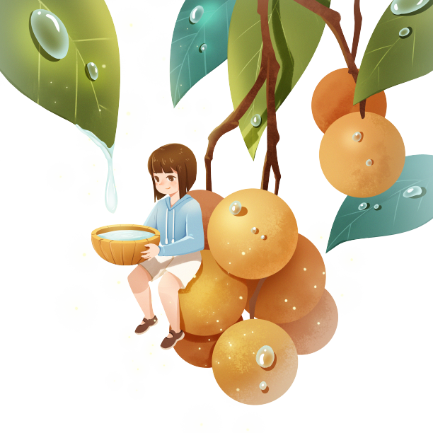 白露节气女孩接露水素材图片下载