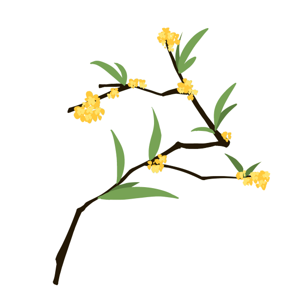 手绘中秋节桂花花枝元素图片下载