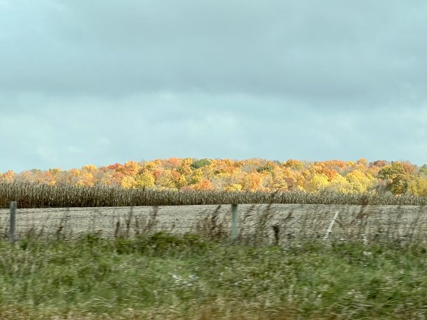 秋天在威斯康辛州图片下载