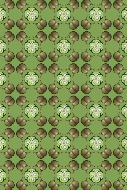 几维鸟有绿色的背景图片下载