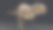 V -雷克斯恐龙，背景。三维渲染图片下载