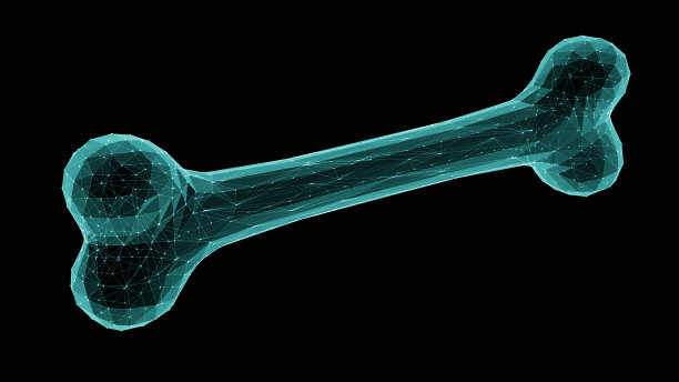 骨头图片下载