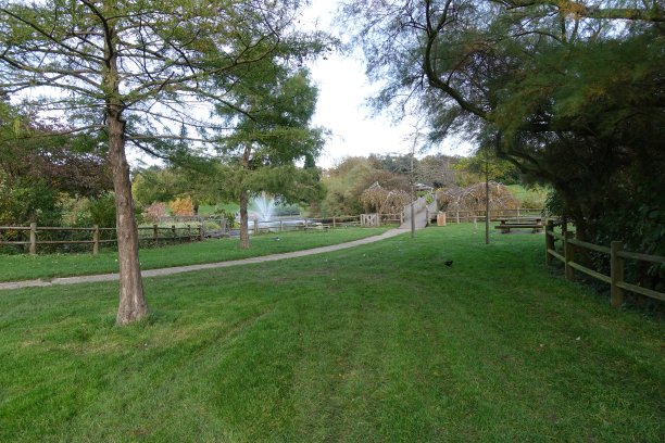 池塘在公园里，两旁种着各种各样的树图片下载