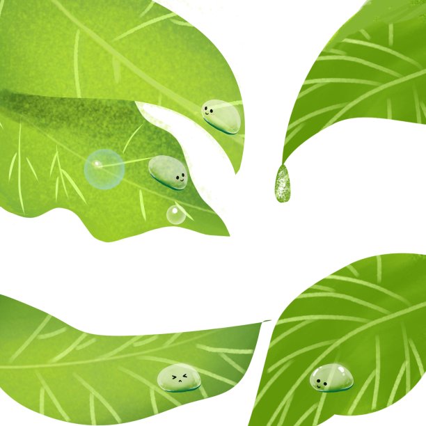 原创元素白露露水图片下载