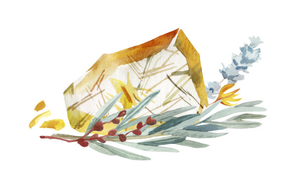 水彩手绘花卉和水晶石安排插图孤立在白色背景图片下载