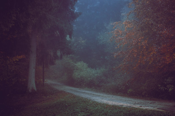 秋天的森林，浪漫，朦胧，雾蒙蒙的风景。复古的自然照片与戏剧性的色彩图片下载