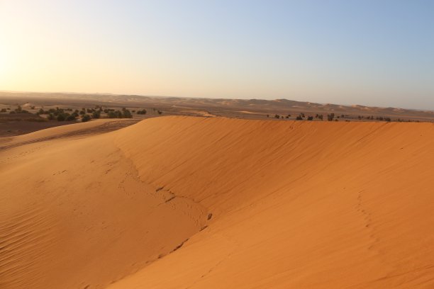 日落时的黄色沙丘图片下载