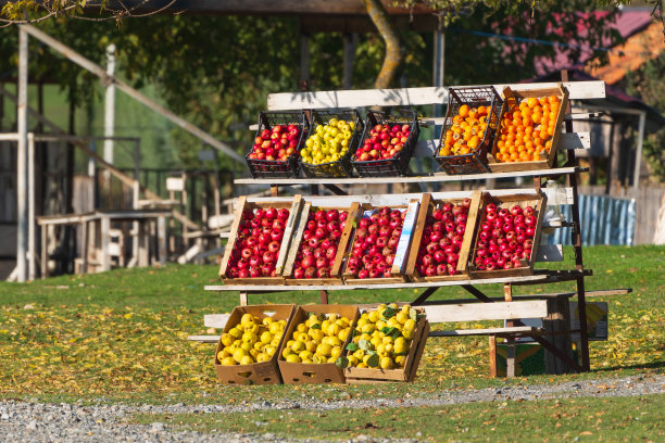 路边卖新鲜水果图片下载