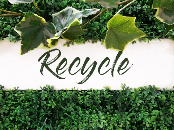 白色的木制标志，绿色的叶子和“回收”的文字。横幅与信息框与自然和草药装饰元素。标志的概念。图片下载