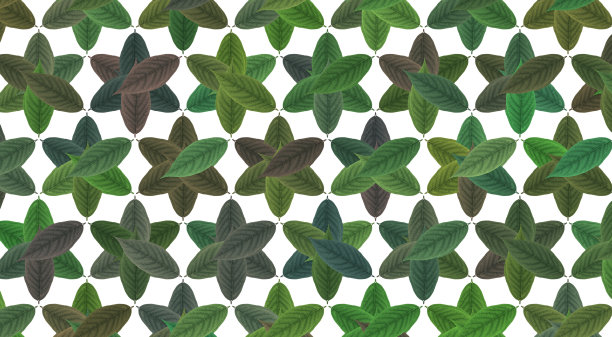 无缝的绿色花卉图案在白色的背景图片下载