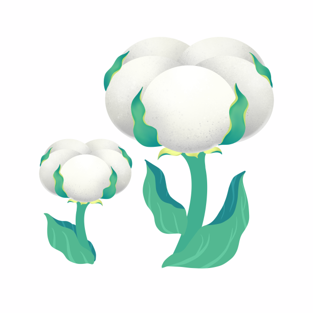 卡通棉花寒露图片下载