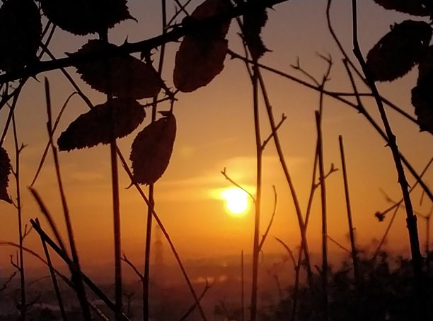 清晨向东窥视图片下载