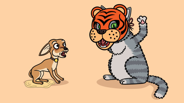 吉娃娃狗和猫。一幅关于宠物的幽默画。图片下载