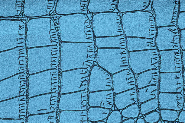 鳄鱼皮的背景。蓝色鳄鱼图案的背景。图片下载