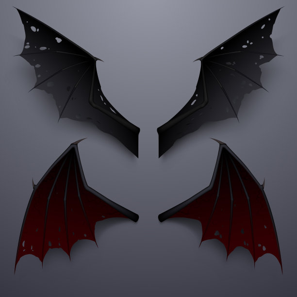 魔鬼翅膀与阴影在灰色的背景图片下载