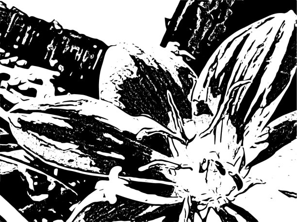 植物上的花的特写图片下载