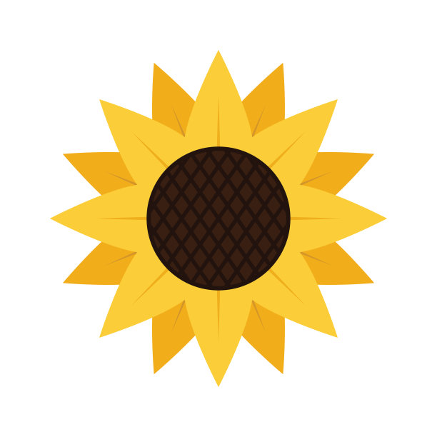 向日葵图标。一个农业植物。向日葵是生产油脂的主要来源。葵花籽油非常健康和美味。图片下载