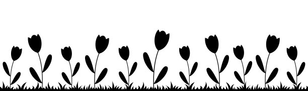 全景背景与黑色的花和草的剪影。图片下载