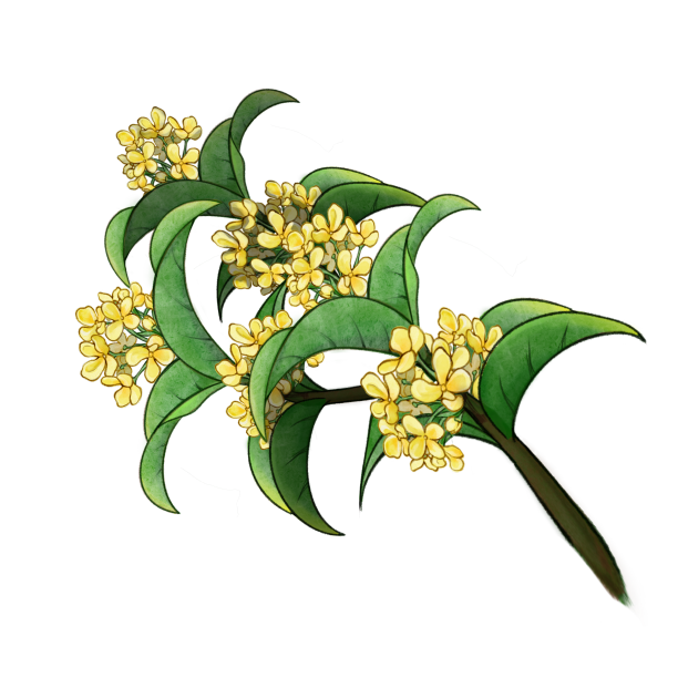 中秋节桂花图片下载