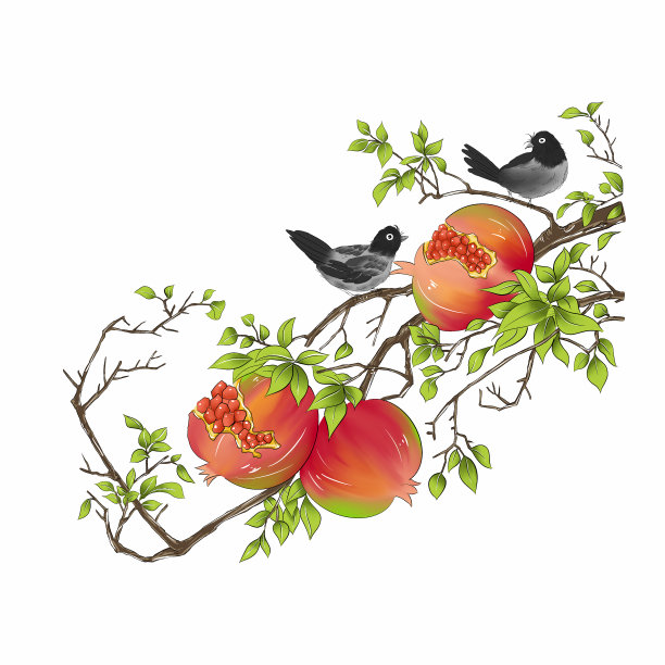 石榴霜降图片下载