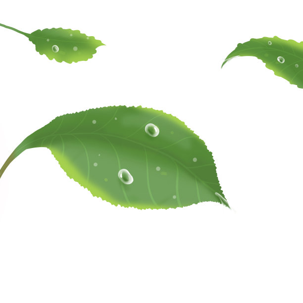 露水白露图片下载