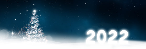2022年的圣诞树与模糊的深蓝色背景图片下载