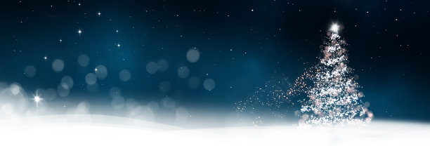 明亮的圣诞树映衬着模糊的背景图片下载