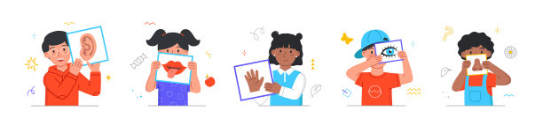 五种感官收集图片下载