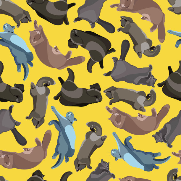 与熟睡的猫无缝的模式图片下载