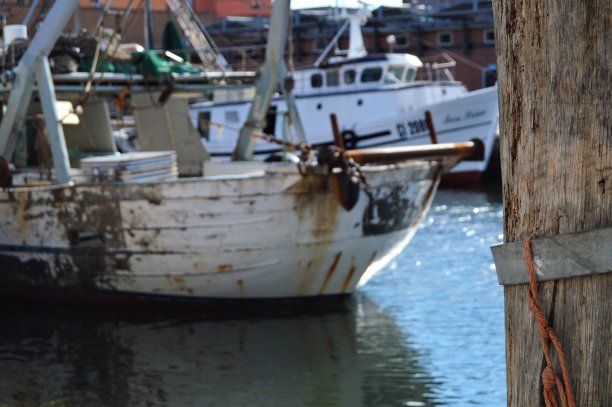 威尼托地区的基图片下载