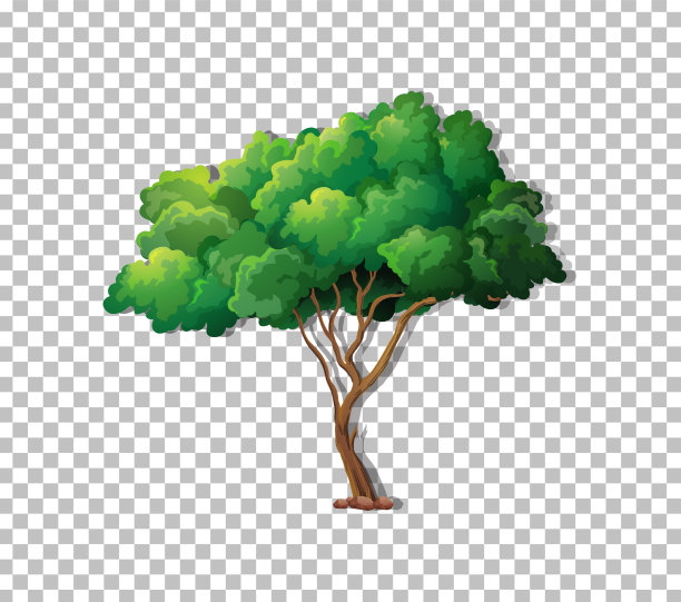 透明背景上的树图片下载