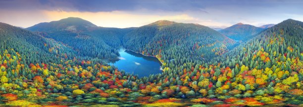 秋天森林里的羊图片下载