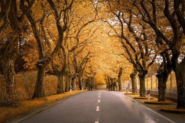 金的方式图片下载