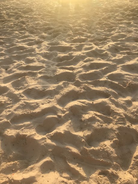 萨尔瓦多沙滩图片下载