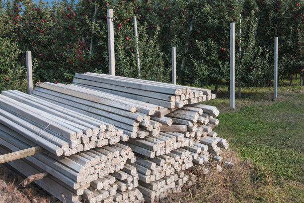 对水果种植和农业的具体支持图片下载