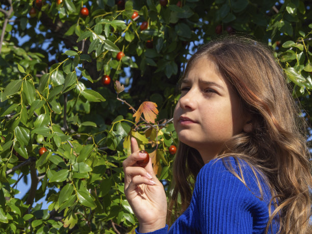 一个美丽的少女，手里拿着一颗成熟的红枣，痴痴地望着远方。一个十几岁的女孩站在一棵结满成熟果实的酸枣树旁。健康饮食的概念图片下载