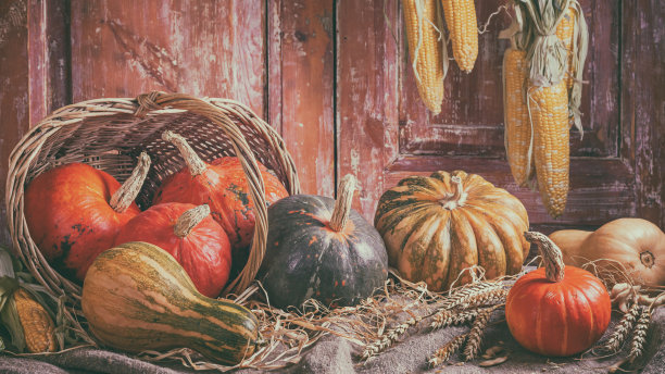 秋天的静物与南瓜水果在乡村房子的旧木门的背景。感恩节的概念图片下载