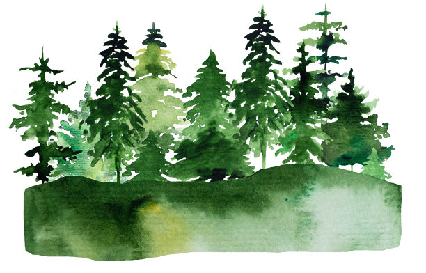 冬季圣诞节水彩画与绿色的针叶树景观图片下载